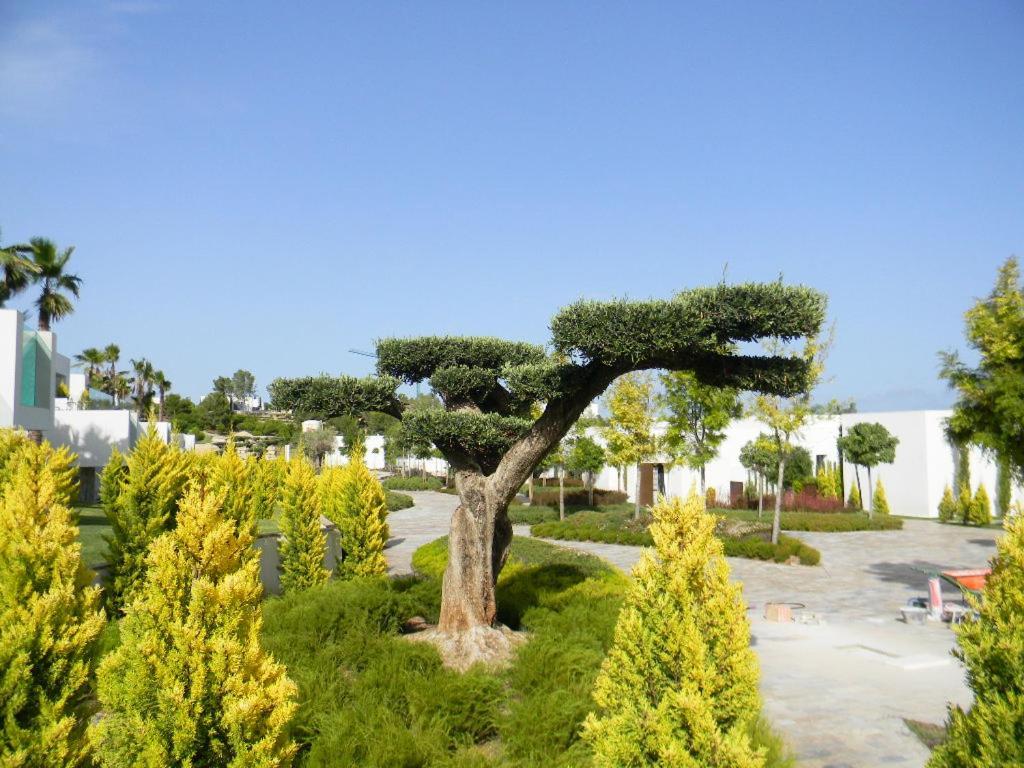 Limonero 17, Golf Club In Colinas Holiday home Dehesa de Campoamor (Orihuela Costa)